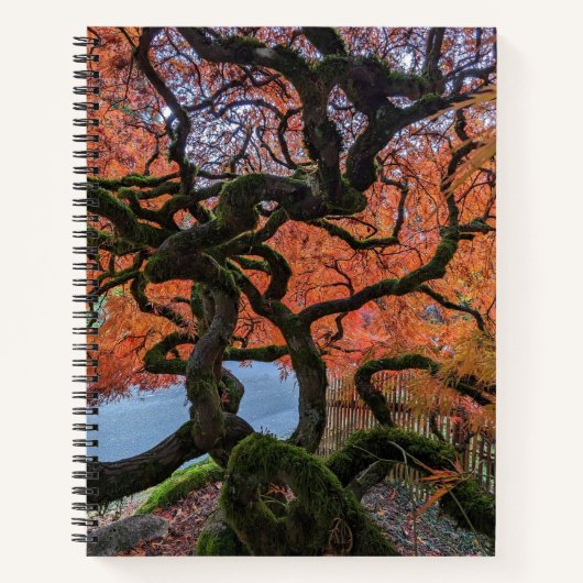 Herbstfarbener Gnarly Japanischer Ahornbaum Notizblock (Vorderseite)