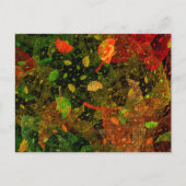 Herbstfarbenes Dekordesign Postkarte (Vorderseite)