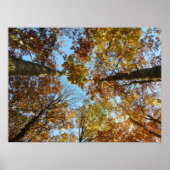 Herbstfarbenwald Poster (Vorne)