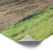 Herbstfeld Adirondacks Bäume Landschaft Poster (Ecke)