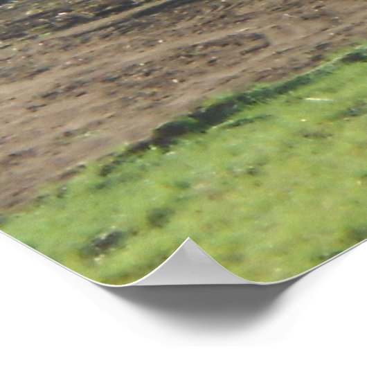 Herbstfeld Adirondacks Bäume Landschaft Poster (Ecke)