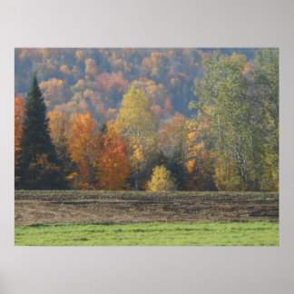 Herbstfeld Adirondacks Bäume Landschaft Poster