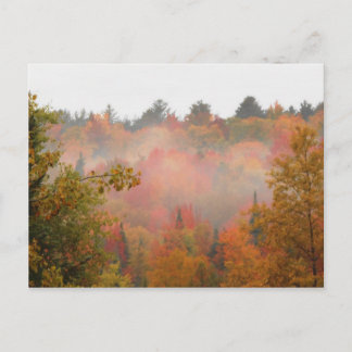 Herbstfeld Adirondacks Bäume Landschaft Postkarte