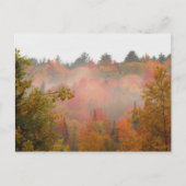 Herbstfeld Adirondacks Bäume Landschaft Postkarte (Vorderseite)