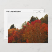 Herbstfeld Adirondacks Bäume Landschaft Postkarte (Vorne/Hinten)