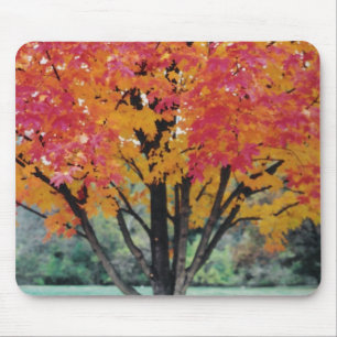 Herbstfeuer Mousepad
