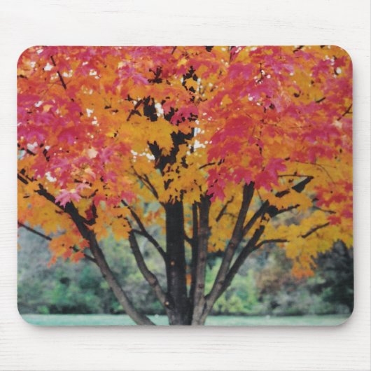 Herbstfeuer Mousepad (Vorne)