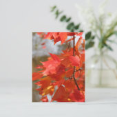 Herbstfeuer Postkarte (Stehend Vorderseite)