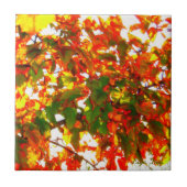 "Herbstfeuer" Tile/Trivet Fliese (Vorderseite)