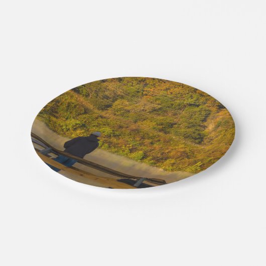 Herbstfischen Springfield Pappteller (Schrägansicht)