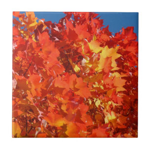 Herbstfliesen Kunst Orange Herbstbaum Blätter Kuns Fliese