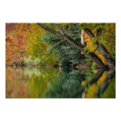 Herbstfluss Fotodruck (Vorne)