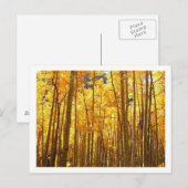 Herbstfolie Postkarte (Vorne/Hinten)