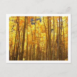 Herbstfolie Postkarte