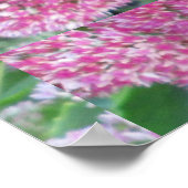Herbstfreude Sedum Red Pink Cluster Blume Poster (Ecke)