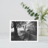 Herbstfrost in Cheshire Postcard Postkarte (Stehend Vorderseite)