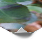 Herbstfrüchte Poster (Ecke)