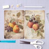 Herbstfrüchte Seidenpapier (Handwerk)