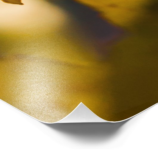 Herbstfrüchte - Squashbeere Fotodruck (Ecke)