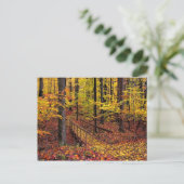 Herbstfußbrücke, Postkarte (Stehend Vorderseite)