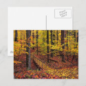 Herbstfußbrücke, Postkarte (Vorne/Hinten)