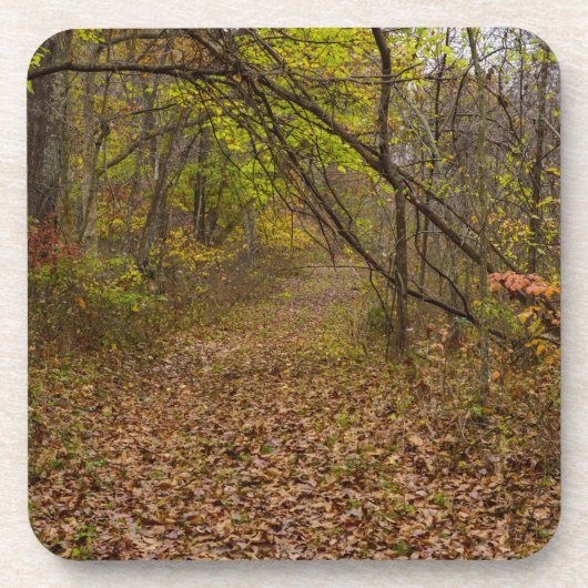 Herbstgang Getränkeuntersetzer (Vorderseite)