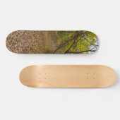 Herbstgang Skateboard (Horizontal)