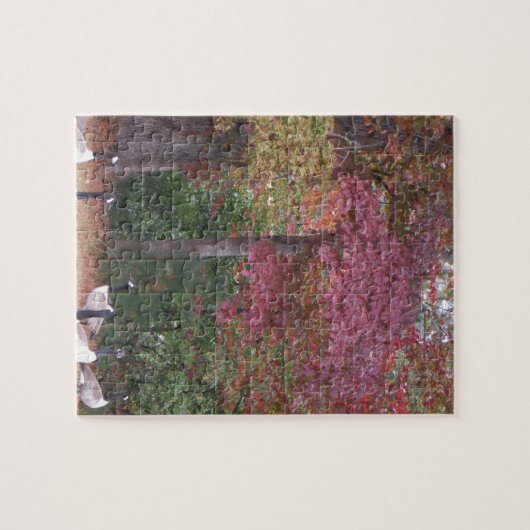 Herbstgänse mit Rot- und Orangen-Herbstlauben Puzzle (Horizontal)