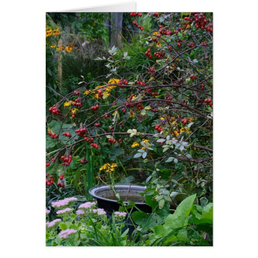 Herbstgarten (Vorne)