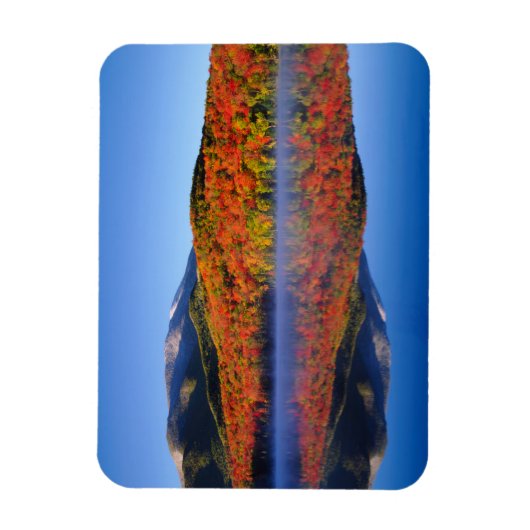 Herbstgebirge | New York Magnet (Vertikal)