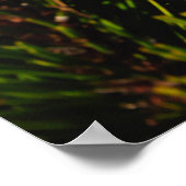 Herbstgebirgslandschaft Poster (Ecke)