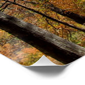 Herbstgebirgswanderwege Poster (Ecke)