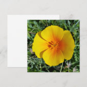 Herbstgelb (Vorne/Hinten)