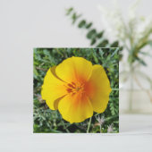 Herbstgelb (Stehend Vorderseite)