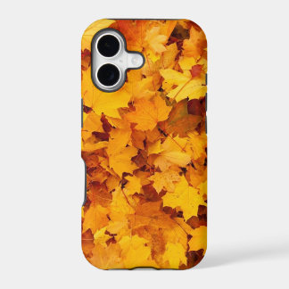 Herbstgelbe Ahornblätter