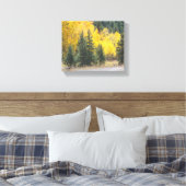 Herbstgelbe Aspen Bäume Berglandschaft Foto Leinwanddruck (Insitu (Schlafzimmer))