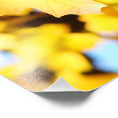 Herbstgelbe Blätter glühender Fotografiekunst Fotodruck (Ecke)