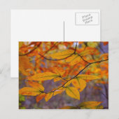 Herbstgelbe Blätter Postkarte (Vorne/Hinten)