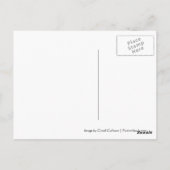 Herbstgelbe Blätter Postkarte (Rückseite)