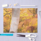 Herbstgelbe Sketch Kunstwald Blätter Birch Tree Seidenpapier (Handwerk)