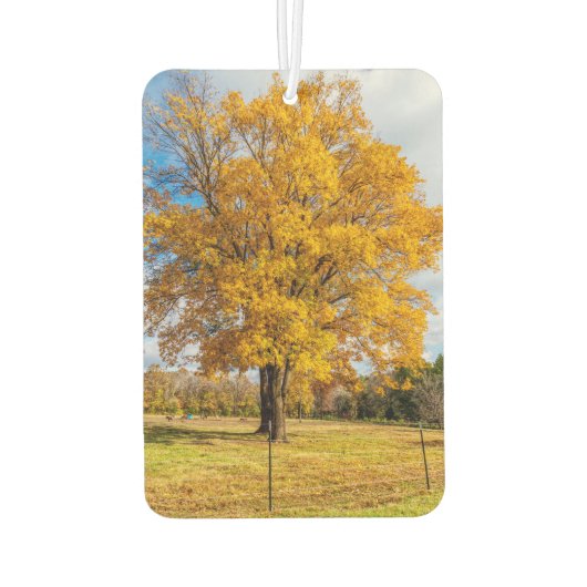Herbstgelber Ahorn Autolufterfrischer (Rückseite)