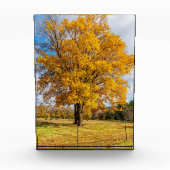Herbstgelber Ahorn Fotoblock (Vorderseite)