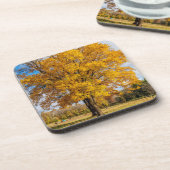 Herbstgelber Ahorn Getränkeuntersetzer (Linke Seite)