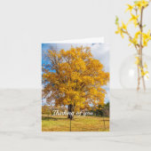 Herbstgelbes Ahornzuckerkarton Karte (Gelbe Blume)