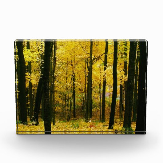 Herbstgelbwald Fotoblock (Vorderseite)