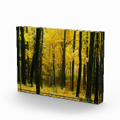 Herbstgelbwald Fotoblock (Rechts)
