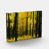 Herbstgelbwald Fotoblock (Links)