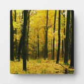 Herbstgelbwald Fotoplatte (Vorderseite)