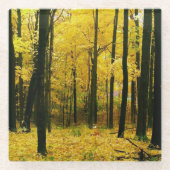 Herbstgelbwald Glasuntersetzer (Vorderseite)