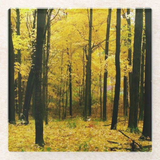 Herbstgelbwald Glasuntersetzer (Vorderseite)